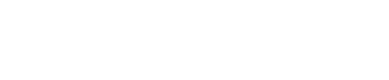 Bick Law LLP